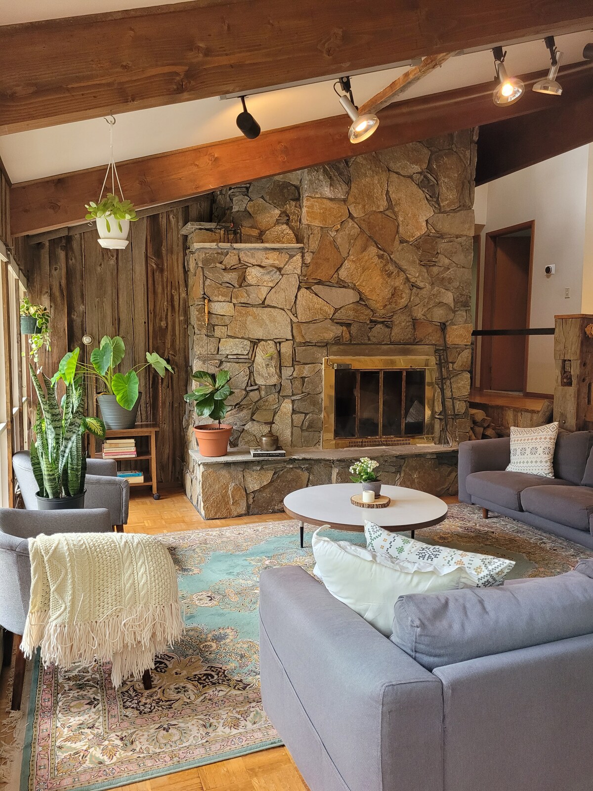 סלון עם אור שמש טבעי ואח. 