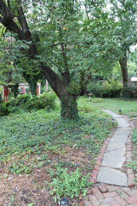 backyard path