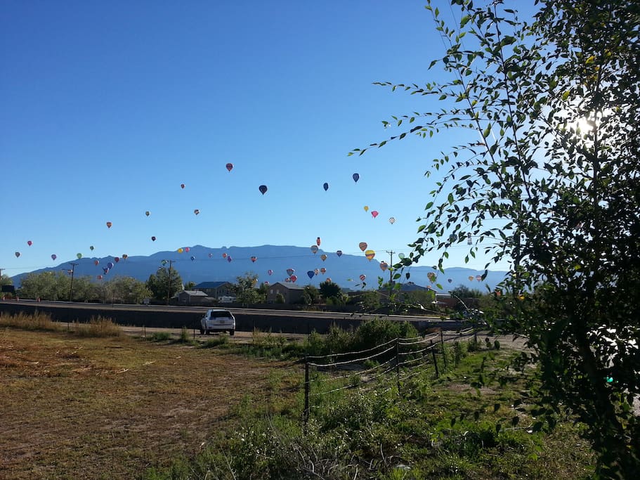 Balloon Fiesta - Morning view from my street!