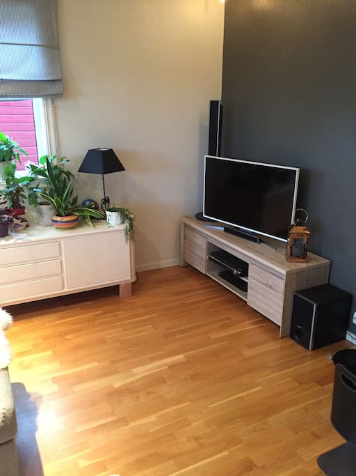 Smart-tv og DVD-spiller