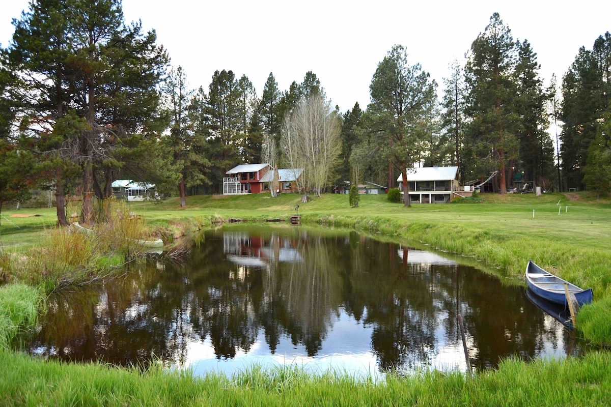 A serene view of a peaceful pond is bordered by lush green grass, reflecting the surrounding trees and cabins. A small blue boat rests by the water's edge, and the property is framed by tall trees, contributing to the tranquil atmosphere.