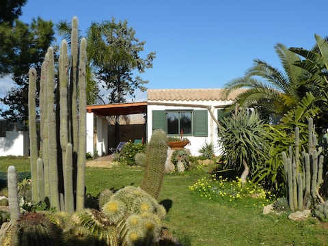 Airbnb con migliori performance: Belize-Menfi Nature Preserve home a Castelvetrano