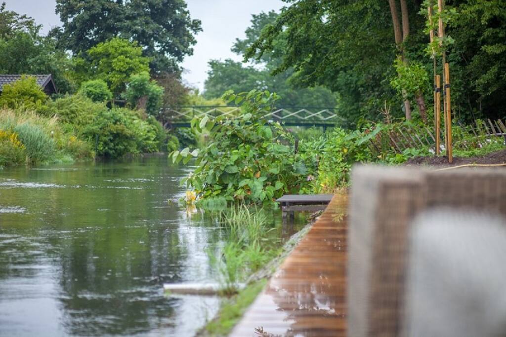Uitzicht vanaf de vlonder