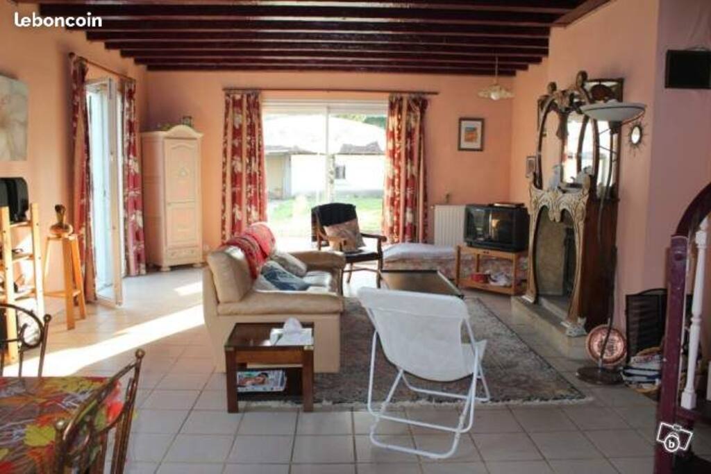 salon