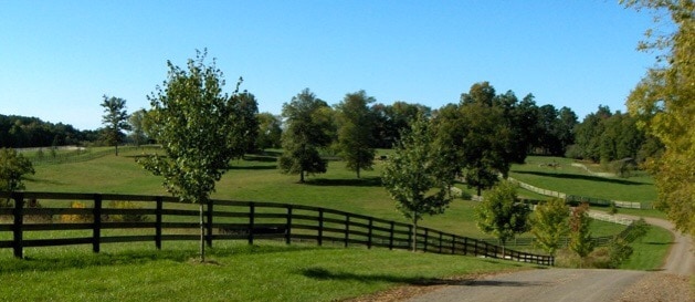 A serene landscape features gently rolling green hills bordered by a rustic wooden fence. Tree-lined paths meander through the scenery, creating a peaceful ambiance. The clear blue sky complements the lush greenery, inviting exploration and connection with nature.