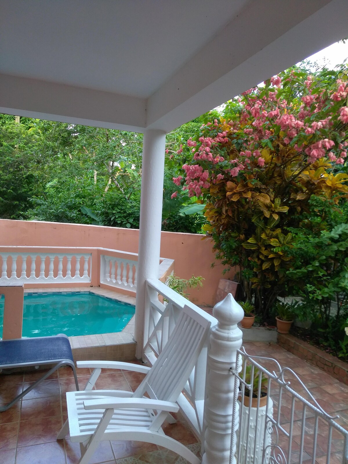 A private plunge pool is surrounded by lush greenery, with vibrant pink and golden foliage enhancing the natural setting. A white rocking chair is positioned on the patio, inviting relaxation, while decorative tiles add a charming touch to the outdoor space.
