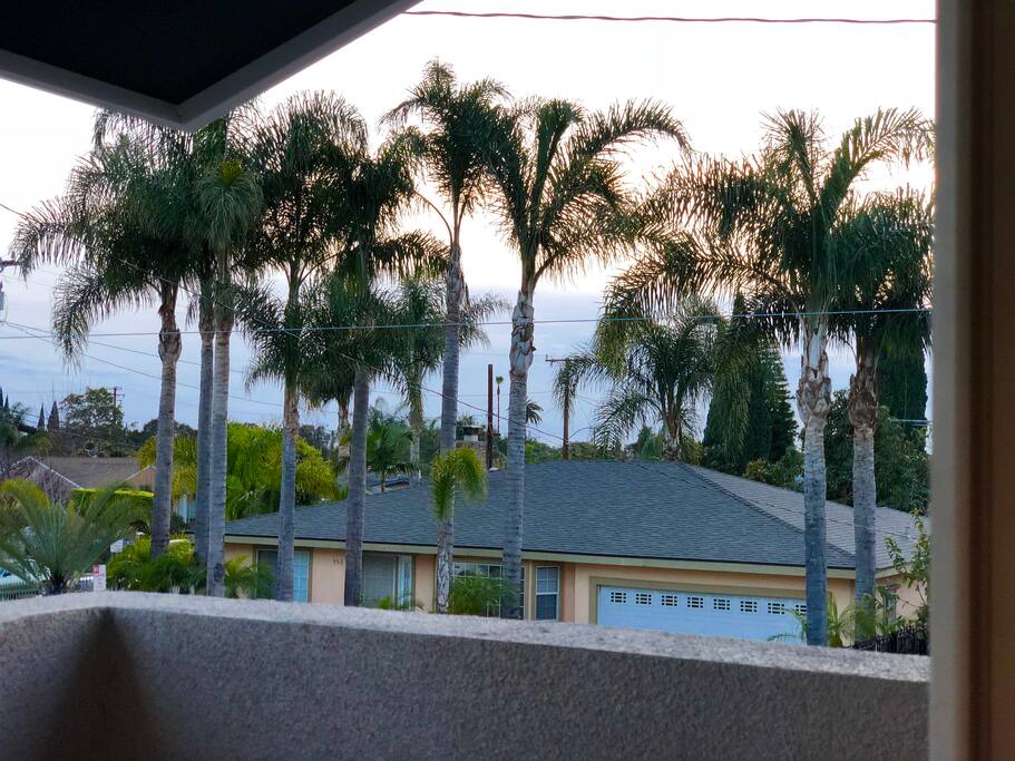 the neighborhood view from the balcony