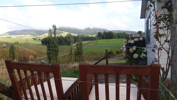 views to Maungatautari Reserve