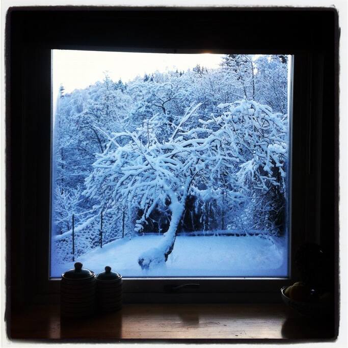 Winter-view from Kitchen window