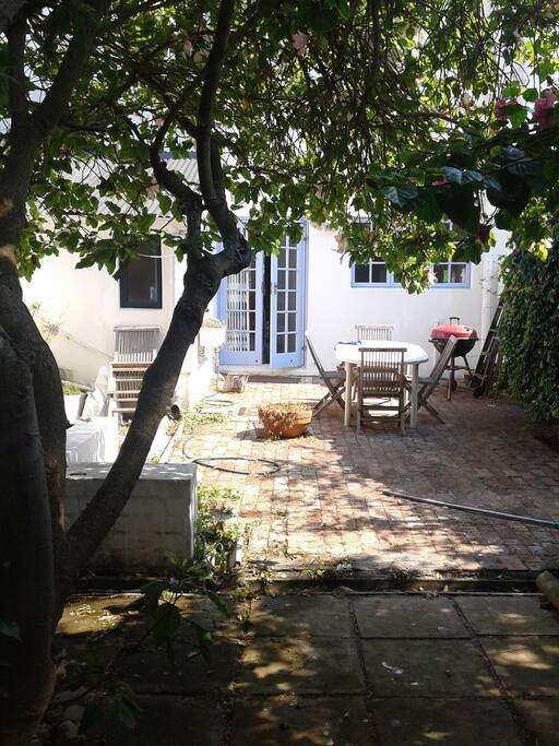backyard courtyard