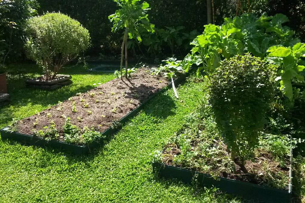 Horta orgânica