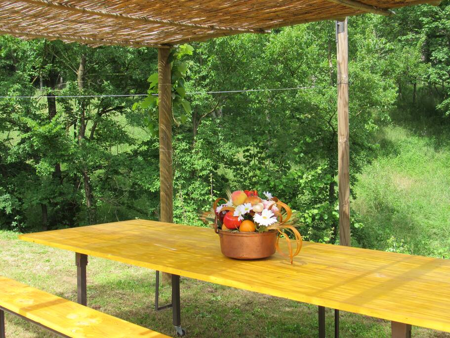 table in the garden