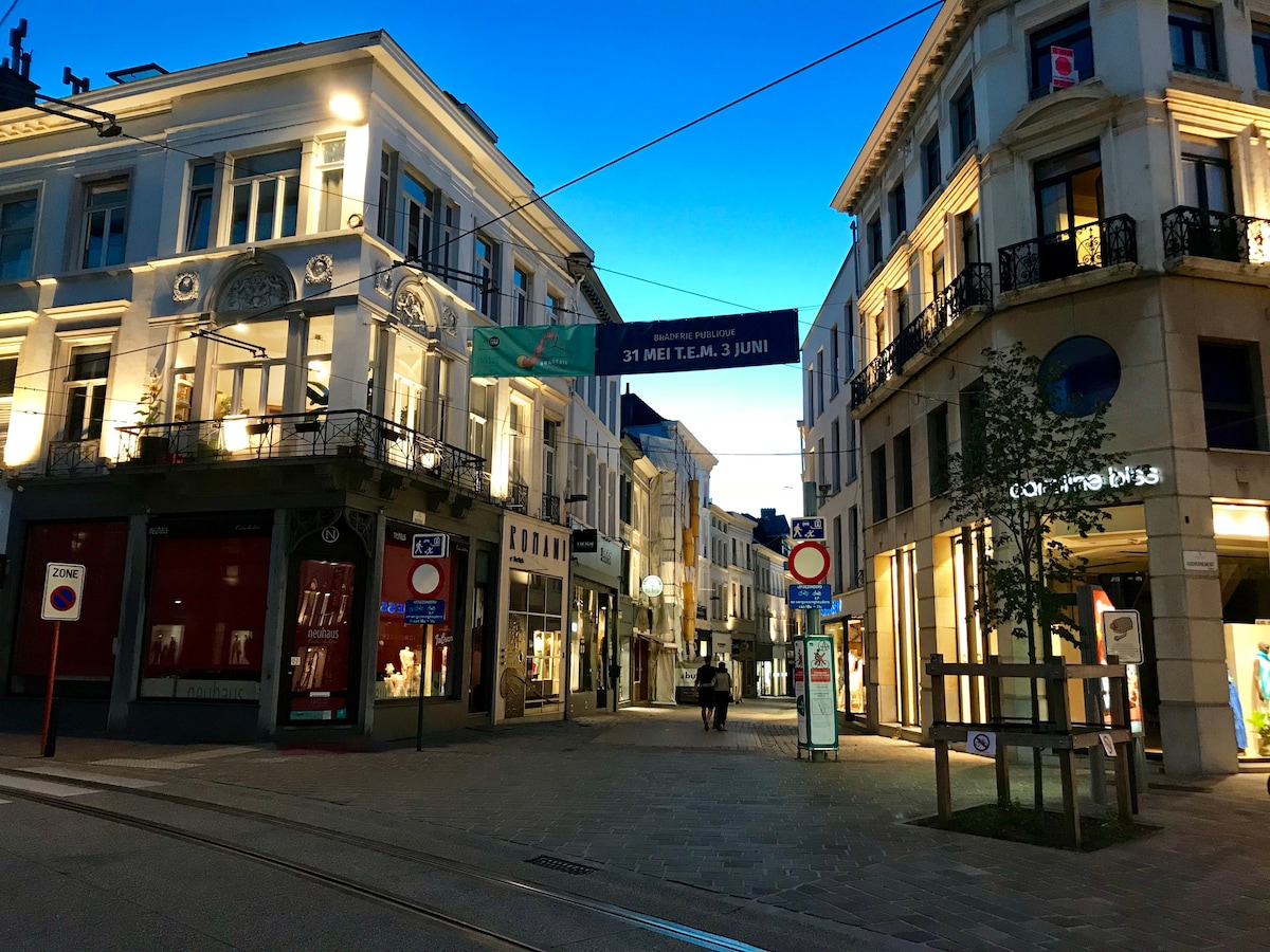 A city street is captured at twilight, showcasing a mix of historical and modern architecture. Elegant storefronts line the street, with banners hanging above. Soft lighting highlights the buildings, while pedestrians stroll along the paved walkway. Street signs and trees add to the urban ambiance.