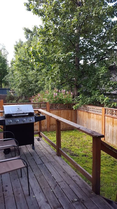 Beautiful back yard
