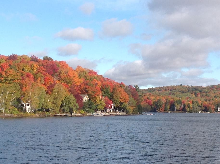 couleurs spectaculaires de l'automne au lac