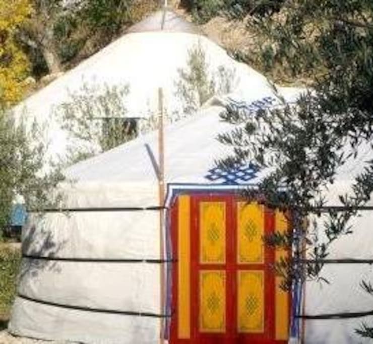 Yurts / Yurtas