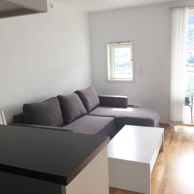 Sovesofa plass til 2