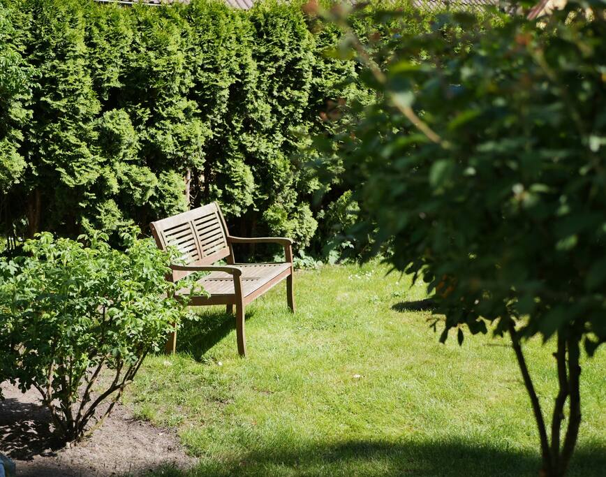 sonniges Plätzchen im Garten