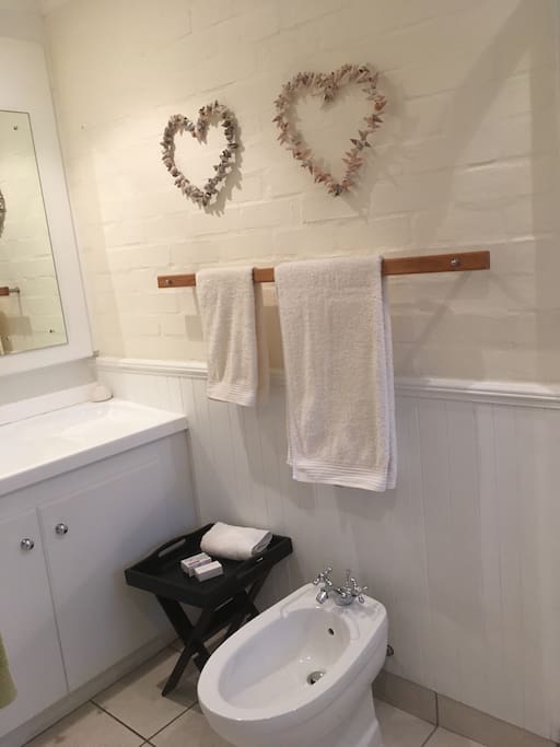 Ensuite bathroom with shower