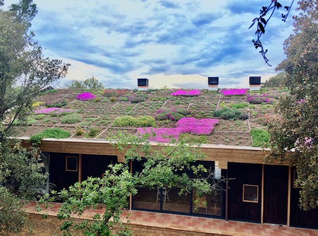 Gran casa de madera con vistas al mar