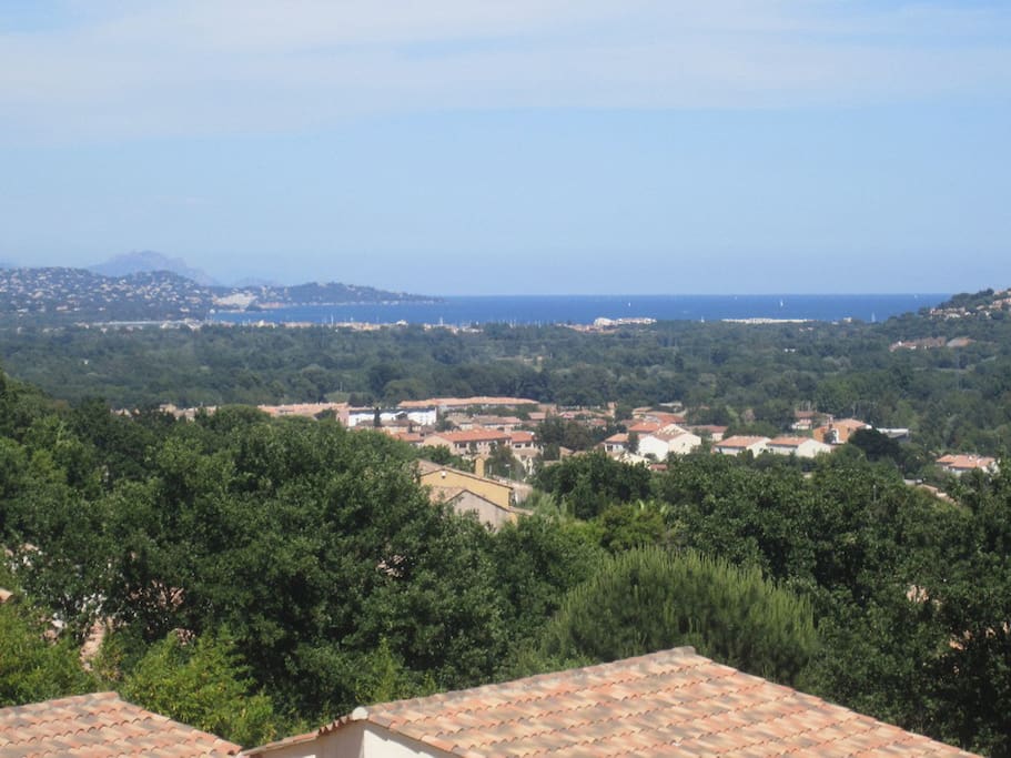 Large Sea view