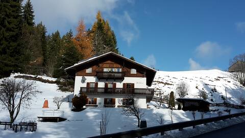 Waldhaus/Calm beautiful hikingways + skiing