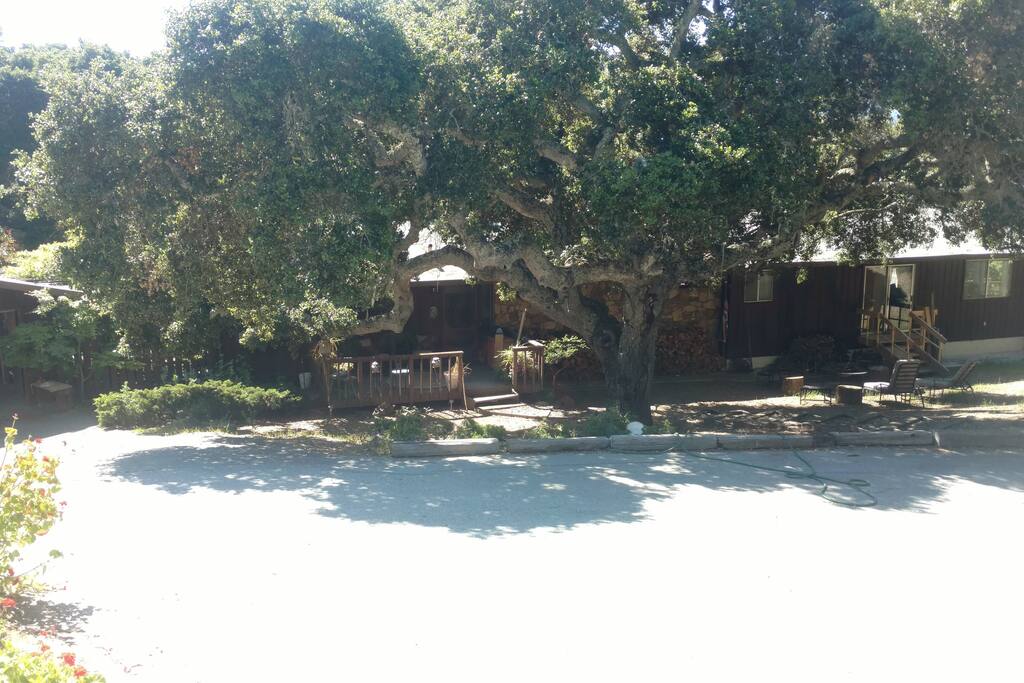View from the driveway