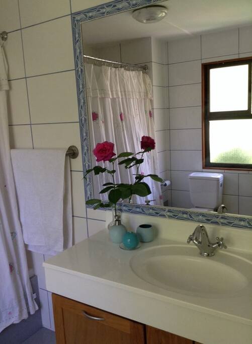 Baño Principal