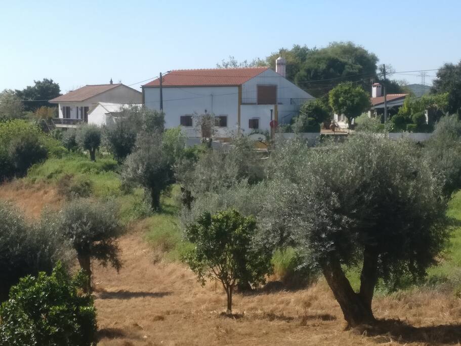 Frente da Casa