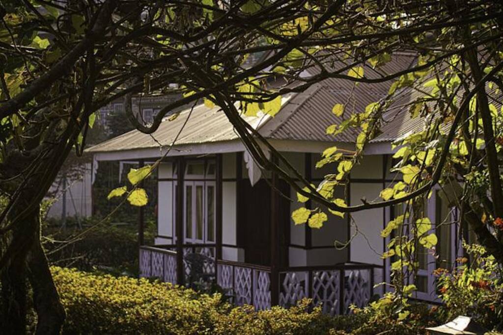 Deluxe cottage