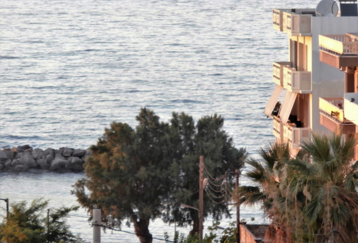 An ocean view showcases calm waters reflecting a soft light. A nearby tree, accompanied by palm greenery, stands prominently in the foreground, while a coastal building is partly visible in the background, enhancing the natural setting.