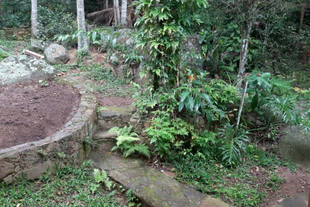 esse é uma paisagem que se repete em volta da casa....