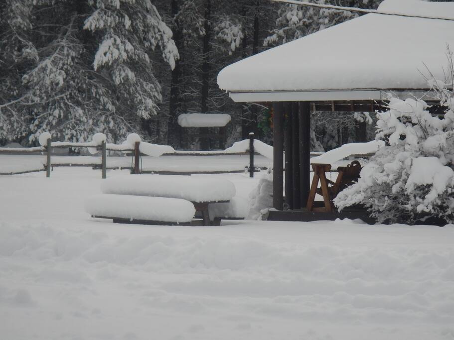 Winter 2015