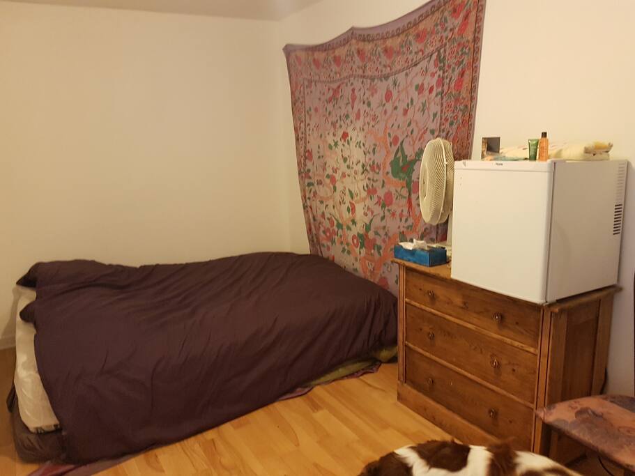 Guest room with mini fridge.