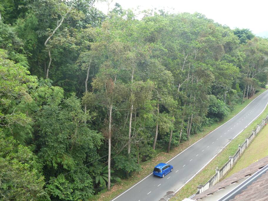 Pleasant environment!