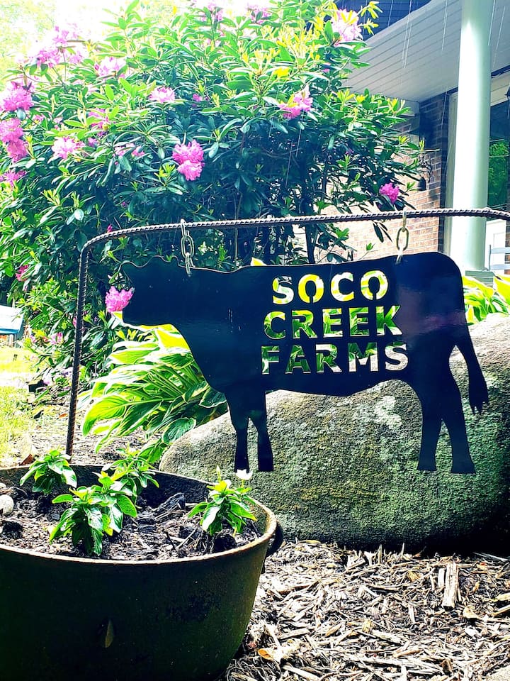 Creek View Queen Rm. Soco Creek FarmsCherokee, NC Farm stays for