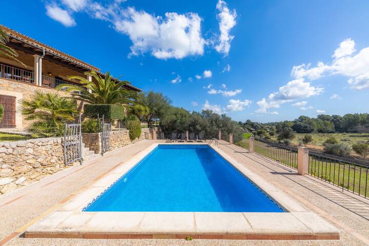 Taconera gallery image 3