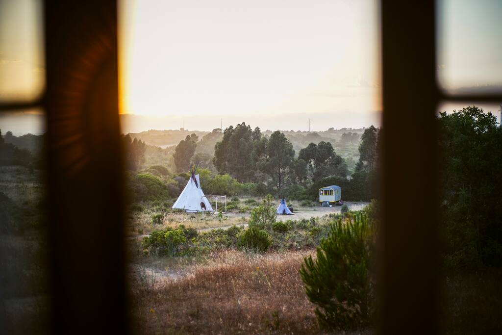 View from window