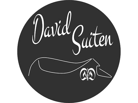 David Suiten - Luxury Apartment, in-house Spa, K