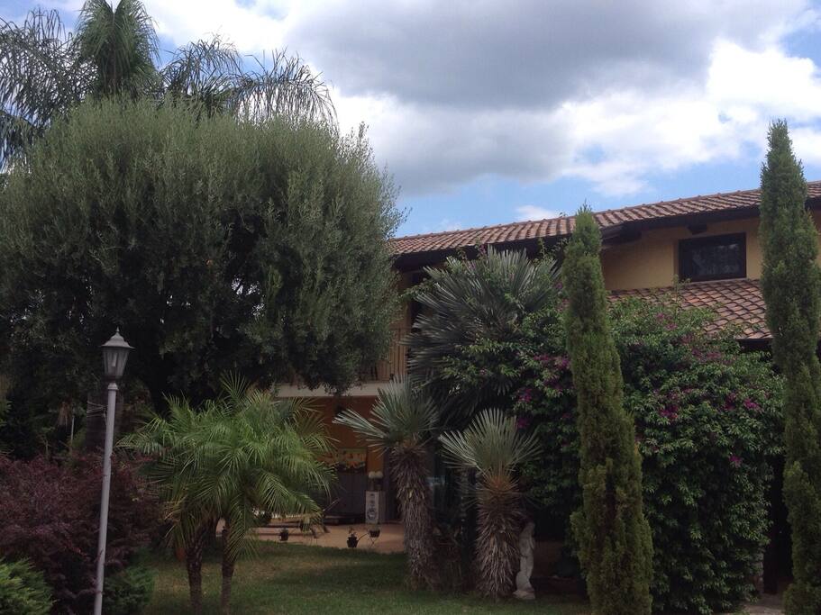Garden I