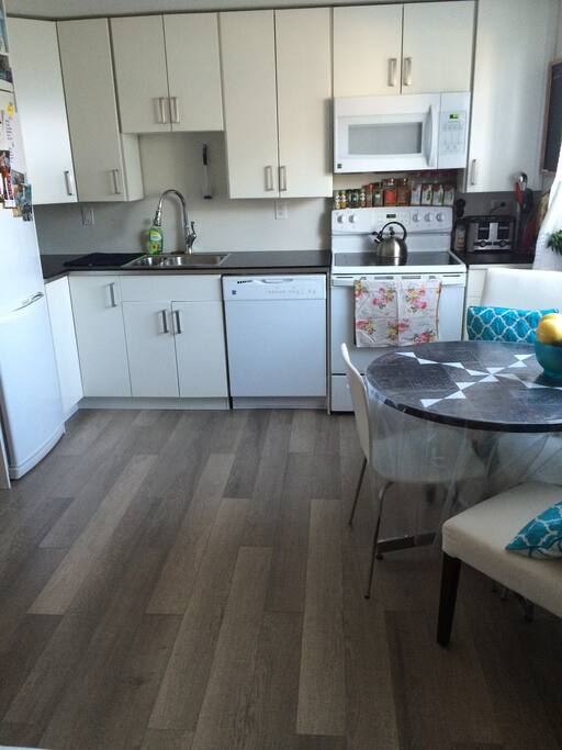 Kitchen-all appliances; fridge, stove, microwave, and dishwasher
