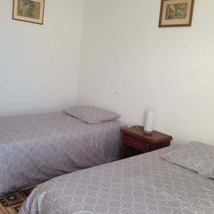Dhomë e bollshme me 2 krevate tek dhe një gardërobë 