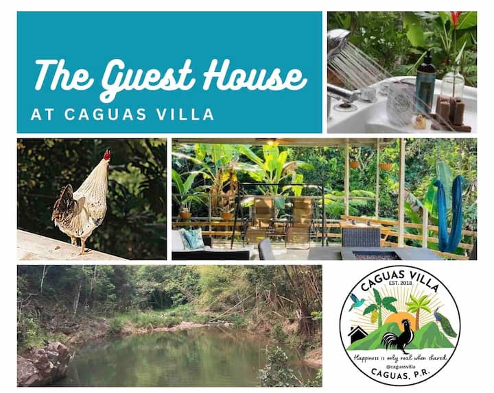 Jungle House Outdoor Tub, Private Trails & River Farm stays for