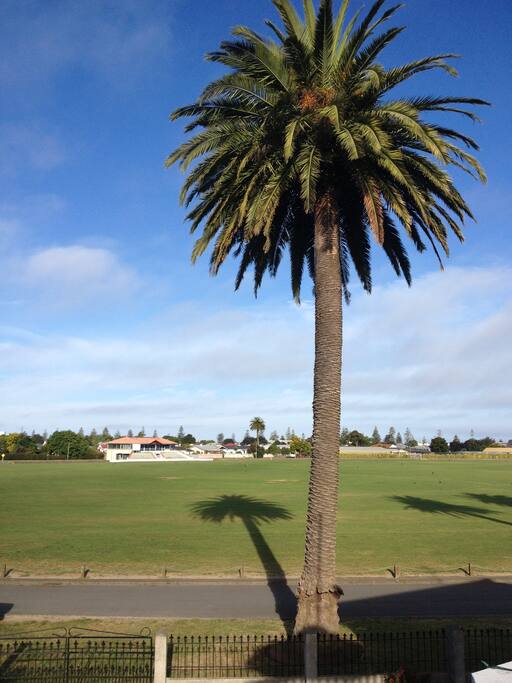 Our house faces the lovely Nelson Park
