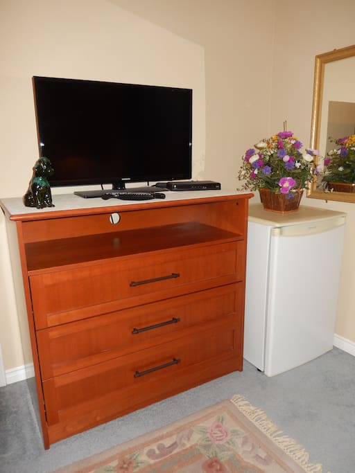 In-Room Cable TV and Guest Fridge