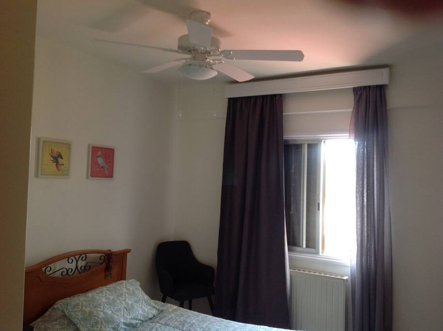 Room 1 window view