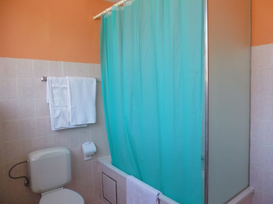 WC and bathtub