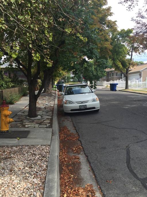 Quiet tree-lined streets close to groceries, coffee, restaurants and bars.