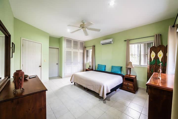 Master bedroom with AC