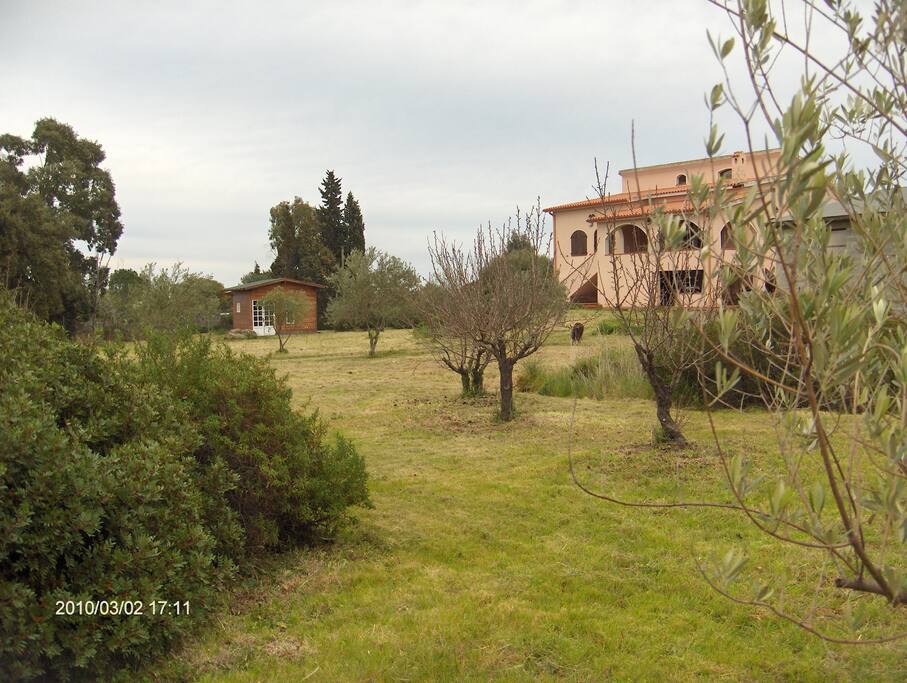 Ampio giardino rustico.
